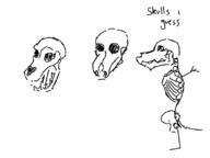 artist:len dog skeleton // 800x600 // 40KB