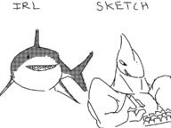 artist:sharko keyboard shark sharko // 800x600 // 50KB