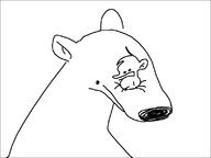artist:jue bear bear_(bear) jue shrew // 800x600 // 5.5KB