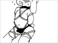 anthro artist:pee bondage bulge character:milk collar fangs flat_chest furry futanari goat loli navel panties stockings tied_up underwear // 800x600 // 8.3KB