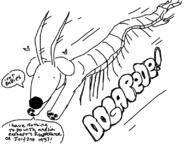 centipede dog dogapede // 800x600 // 85KB