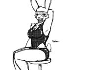 artist:Nyul furry muscle Nyul pectoral_clevage pectorals rabbit swimsuit // 800x600 // 44KB