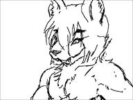 anthro artist:leopard furry wolf // 800x600 // 9.6KB