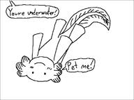 axolotl feral speech_bubble unknown_artist // 800x600 // 7.6KB